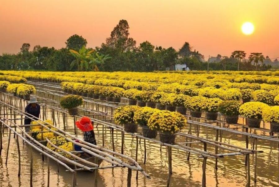 thời điểm hoa đua nở