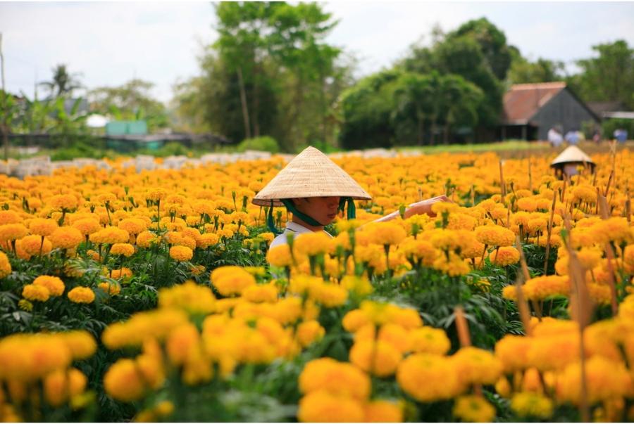 thời điểm hoa đua nở