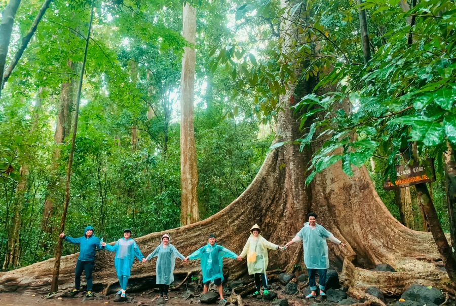 Vườn Quốc gia Nam Cát Tiên